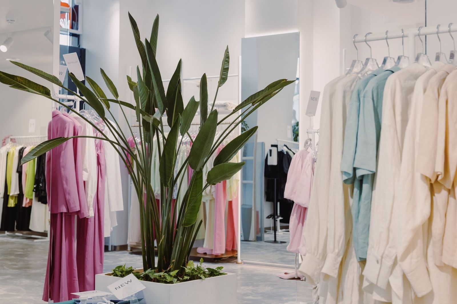 Helle Boutique mit pastellfarbenen Kleidern und einer großen Pflanze