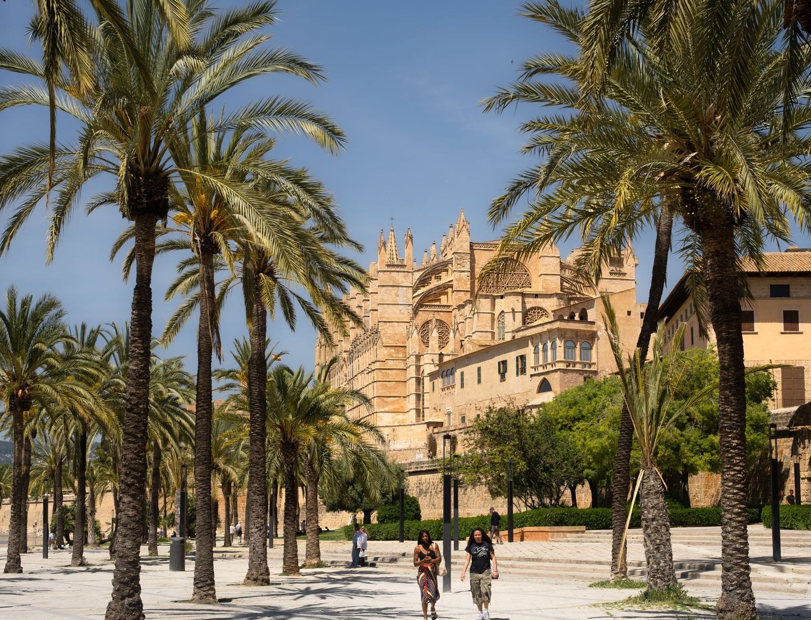 Kathedrale La Seu in Palma zwischen Palmen